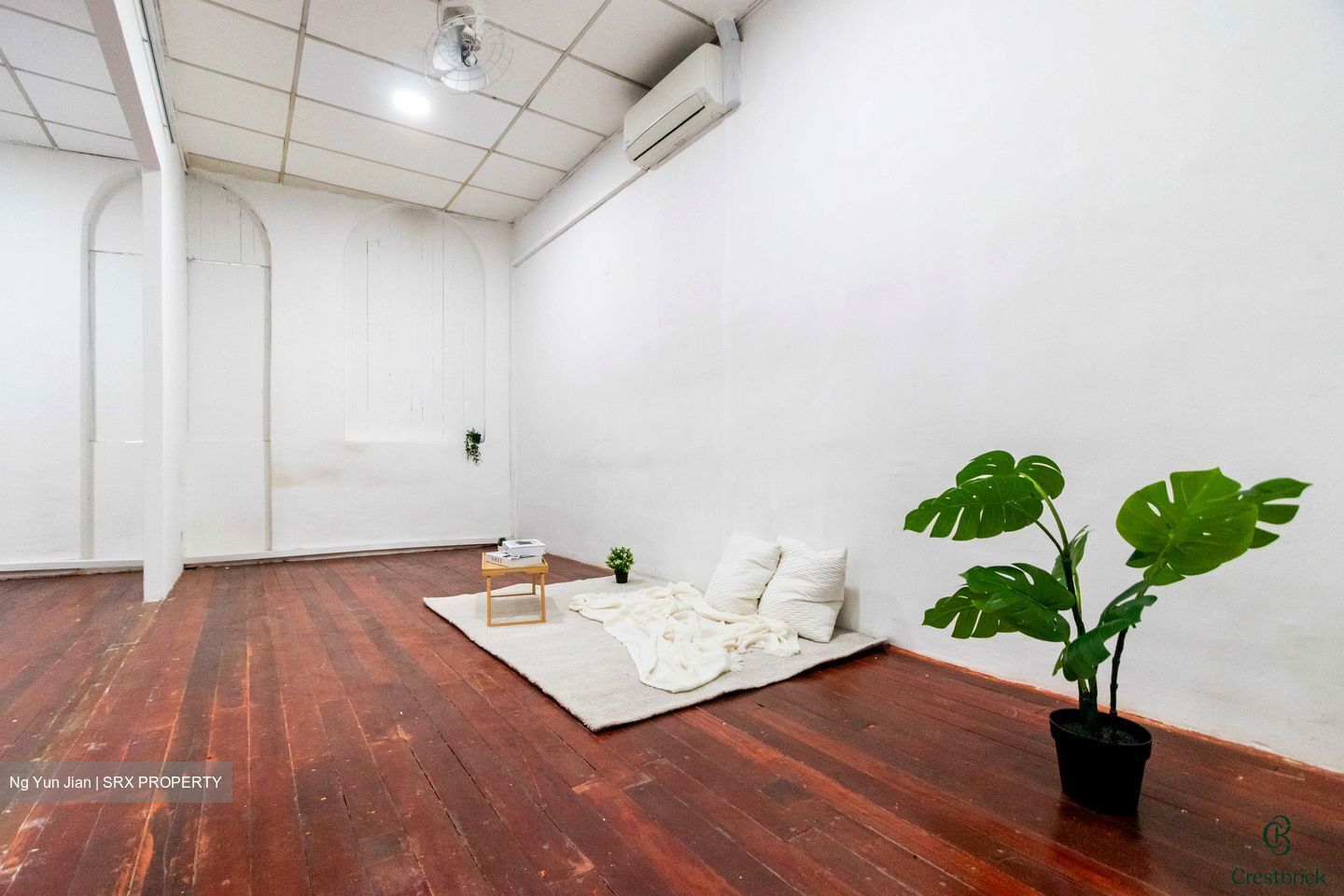 Syed Alwi Road (D8), Shop House #488467271